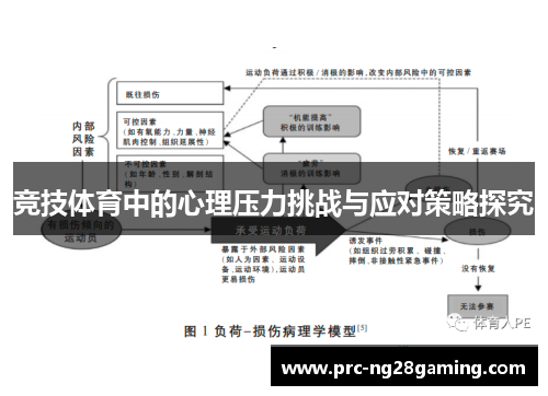 竞技体育中的心理压力挑战与应对策略探究