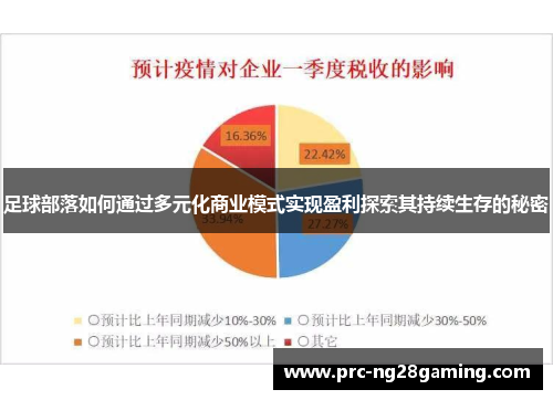 足球部落如何通过多元化商业模式实现盈利探索其持续生存的秘密