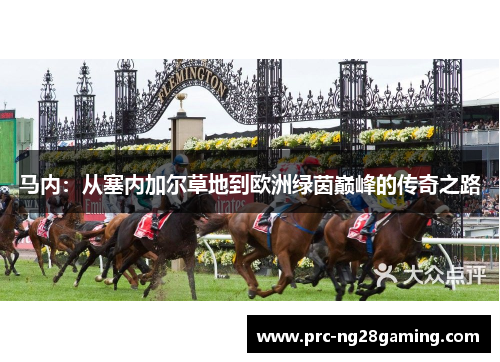 马内:从塞内加尔草地到欧洲绿茵巅峰的传奇之路 马内:从塞内加尔草地到欧洲绿茵巅峰的传奇之路