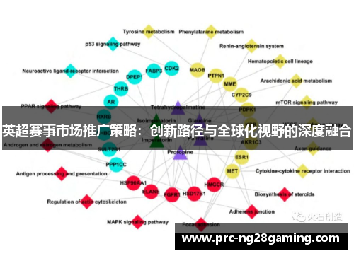 英超赛事市场推广策略:创新路径与全球化视野的深度融合 英超赛事市场推广策略:创新路径与全球化视野的深度融合