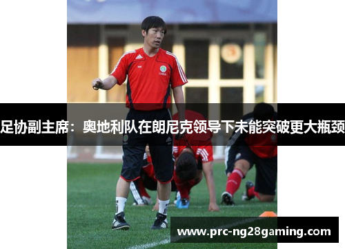 足协副主席：奥地利队在朗尼克领导下未能突破更大瓶颈