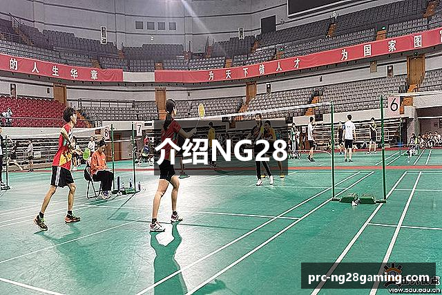 介绍NG28